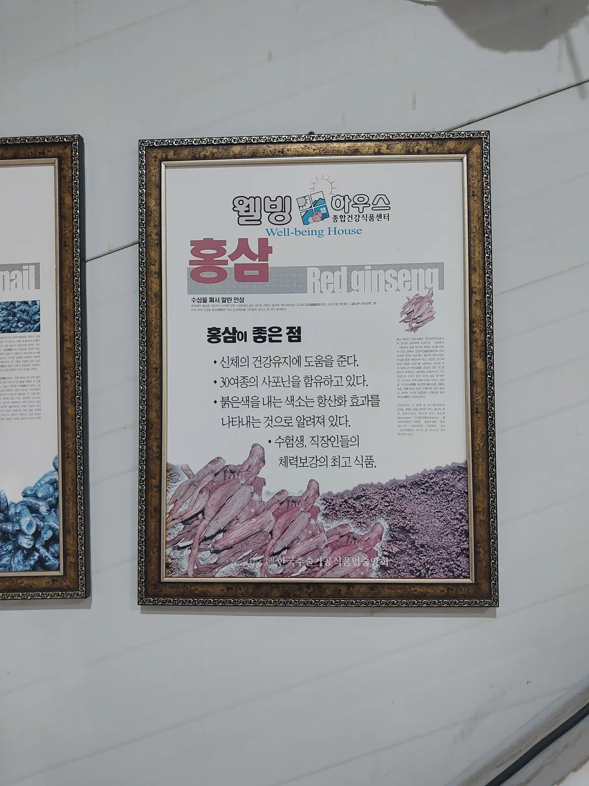 홍삼 효능 안내 액자